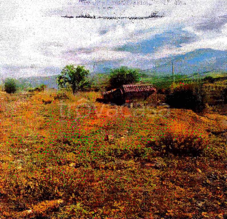 immagine annuncio 5 di 8