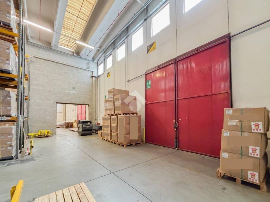 immagine annuncio 12 di 15