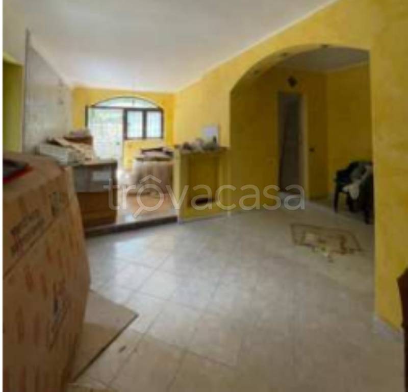 immagine annuncio 11 di 12