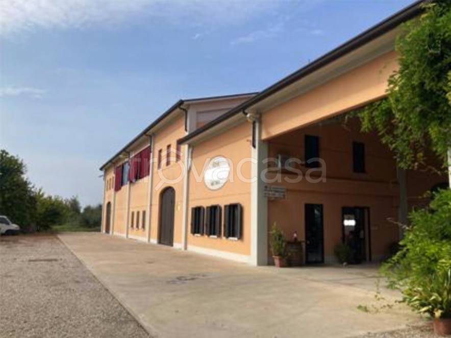 immagine annuncio 6 di 14