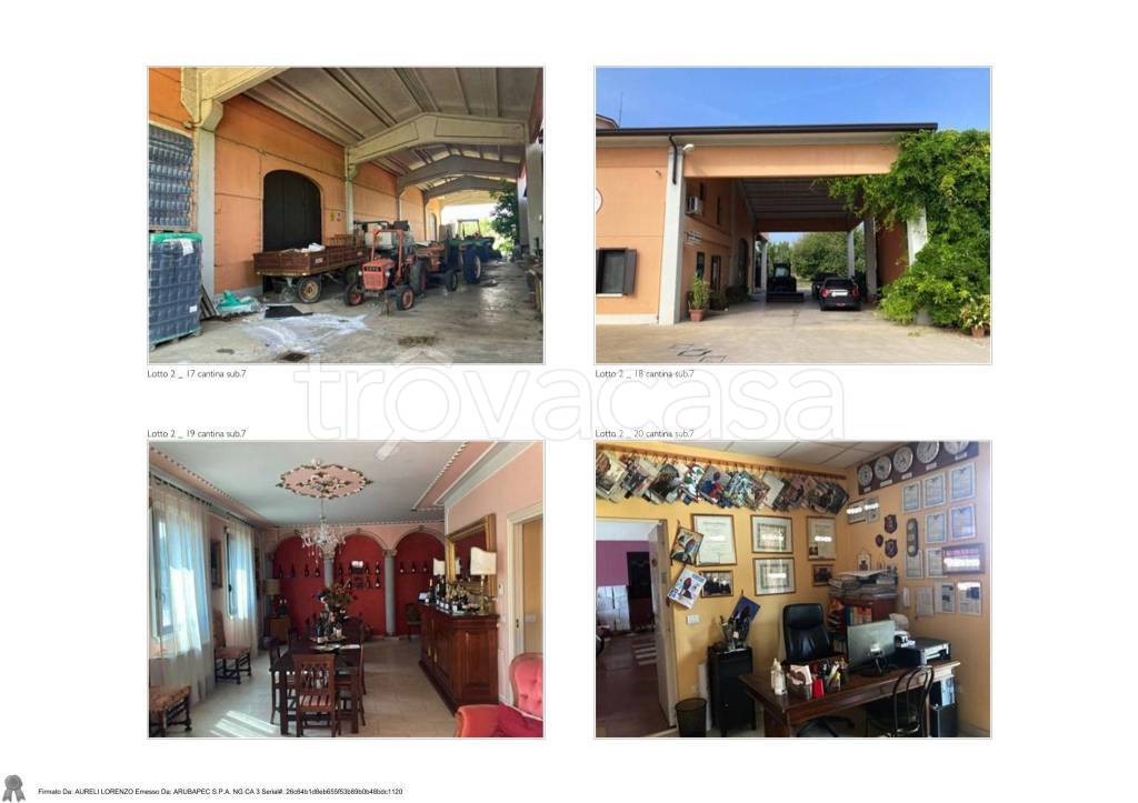 immagine annuncio 11 di 14