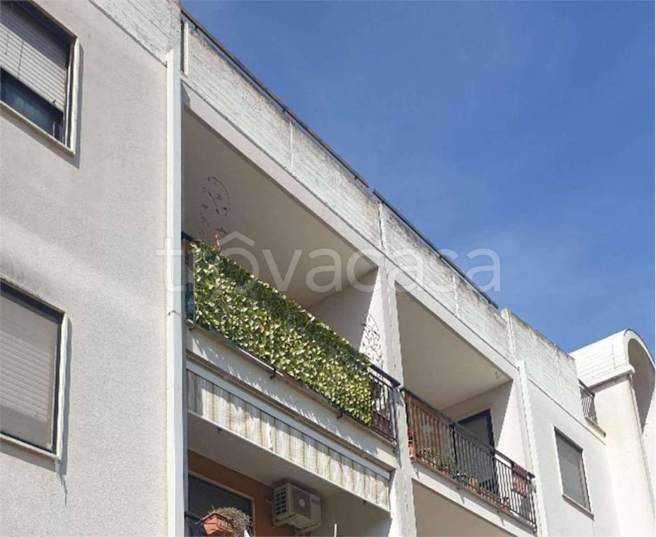 immagine annuncio 1 di 14