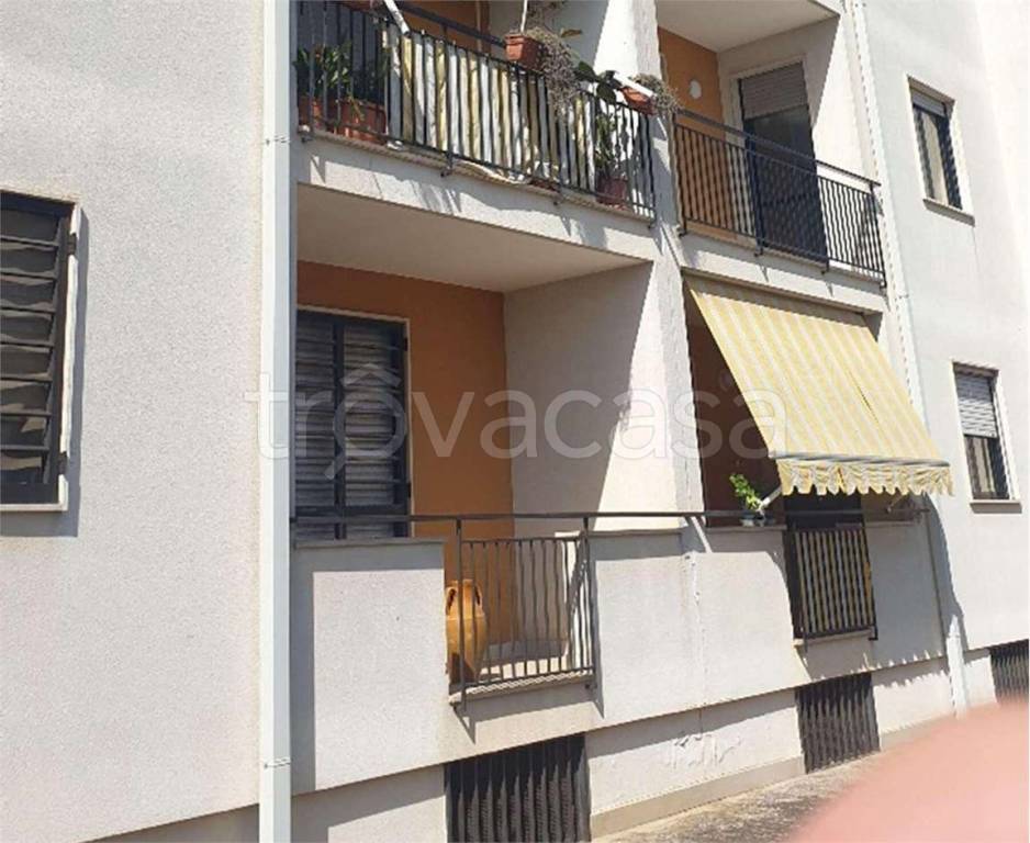 immagine annuncio 2 di 14