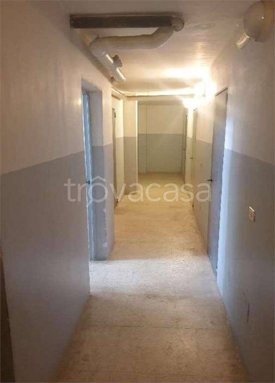 immagine annuncio 10 di 14