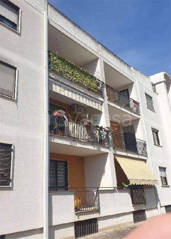 immagine annuncio 13 di 14