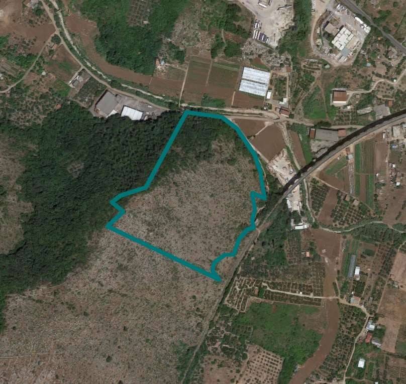 immagine annuncio 1 di 2