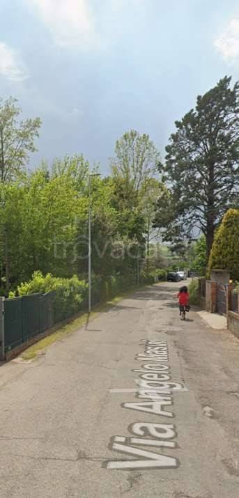 immagine annuncio 1 di 12