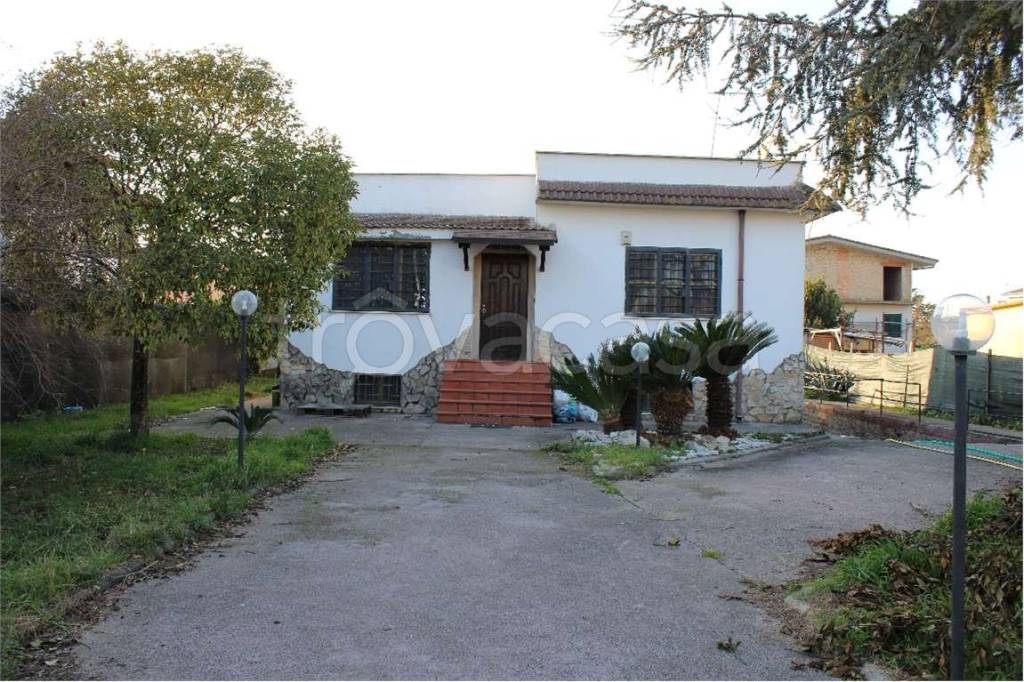 immagine annuncio 11 di 13