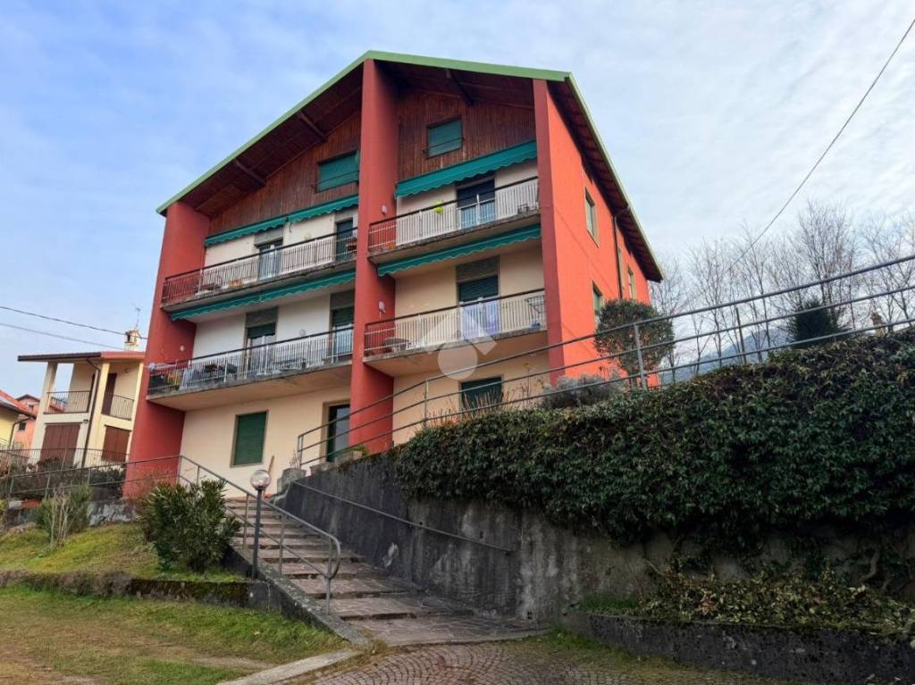 immagine annuncio 1 di 14