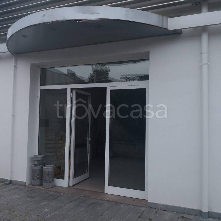 immagine annuncio 9 di 14