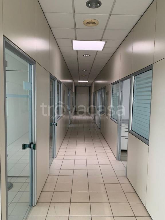 immagine annuncio 5 di 14