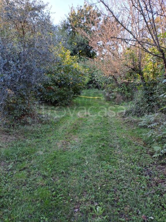 immagine annuncio 5 di 7