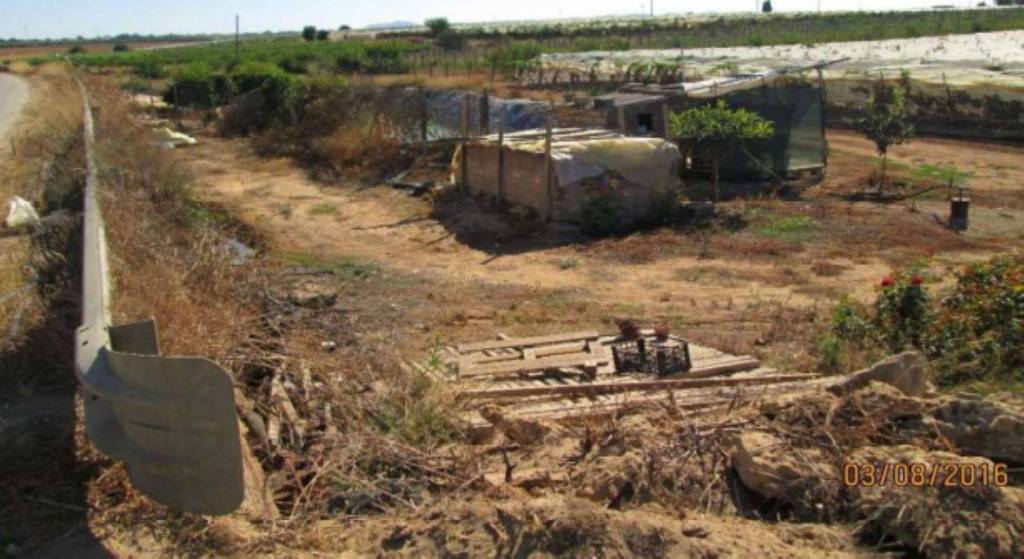 immagine annuncio 4 di 11