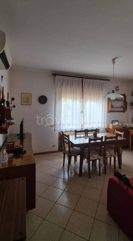 immagine annuncio 4 di 14