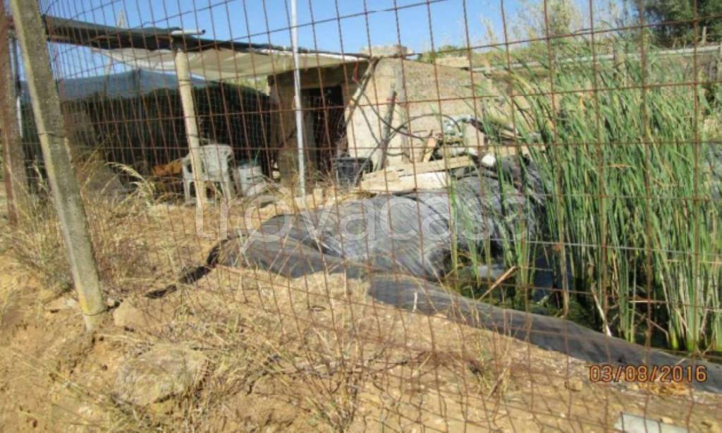 immagine annuncio 7 di 11