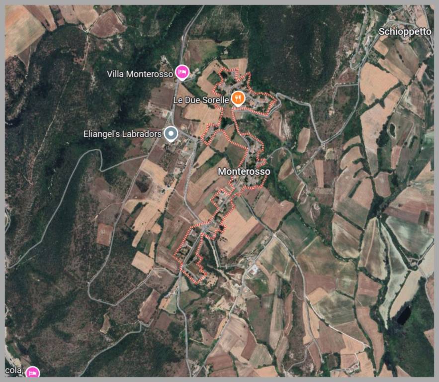 immagine annuncio 12 di 15