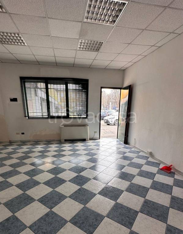 immagine annuncio 9 di 11