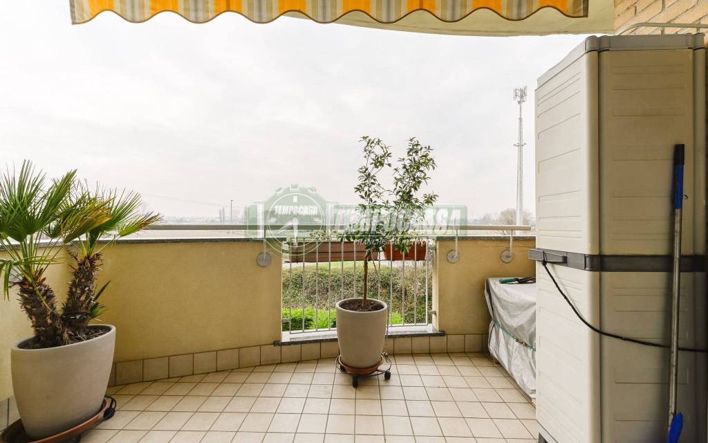 immagine annuncio 11 di 14