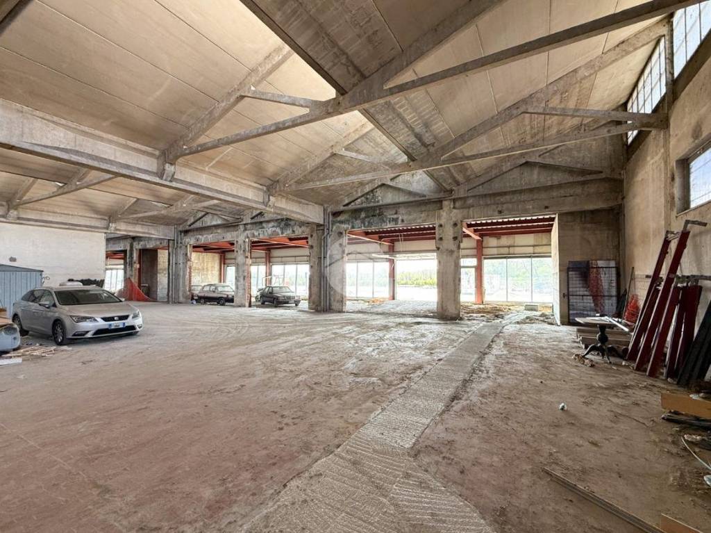 immagine annuncio 9 di 15