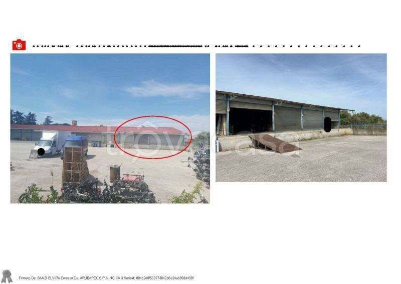 immagine annuncio 7 di 9