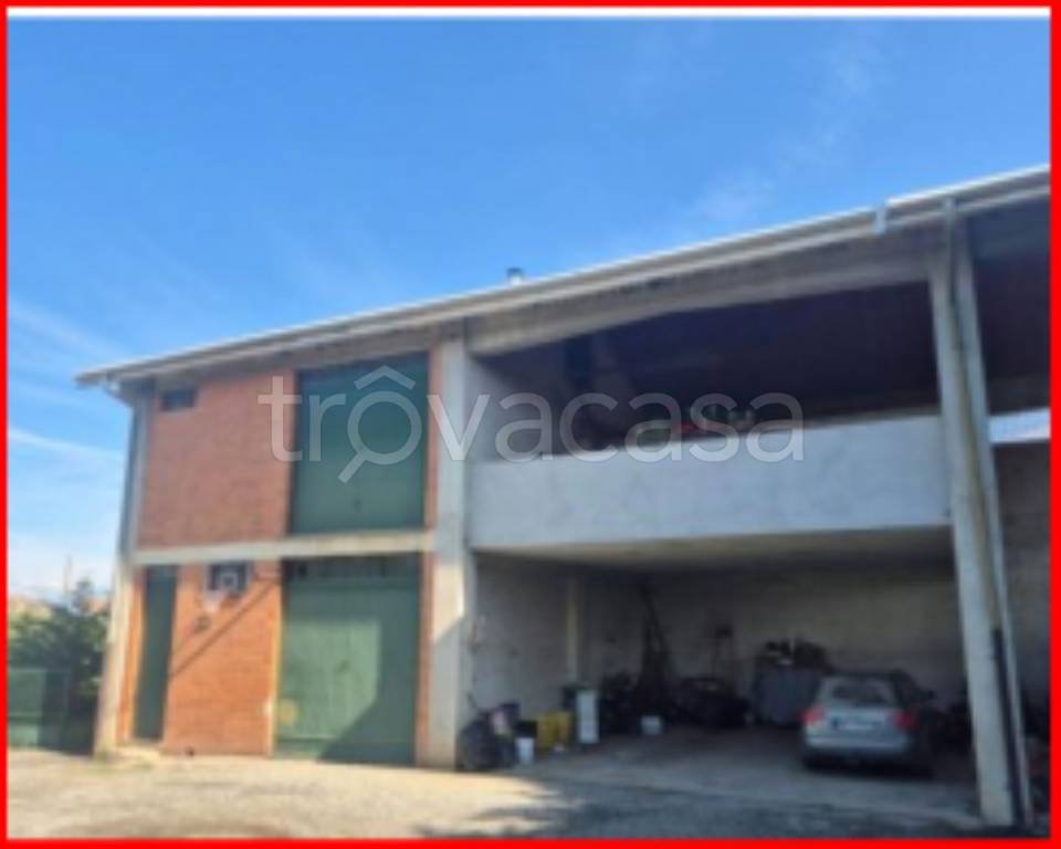 immagine annuncio 9 di 14