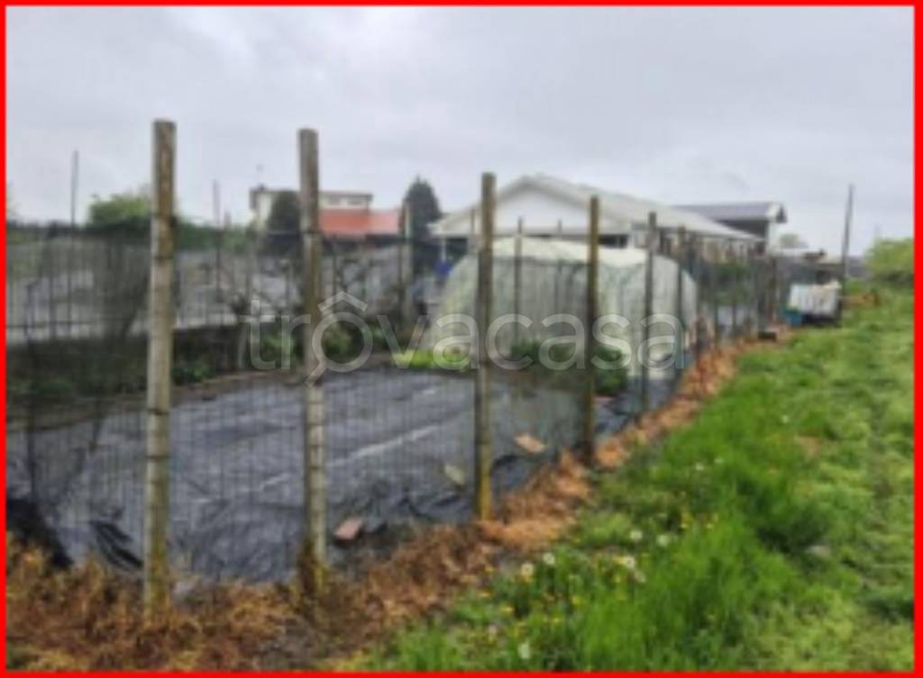 immagine annuncio 12 di 14