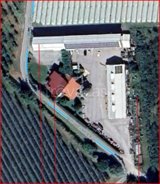 immagine annuncio 13 di 14