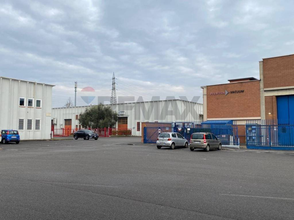 immagine annuncio 2 di 6