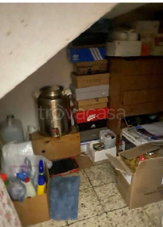 immagine annuncio 3 di 14