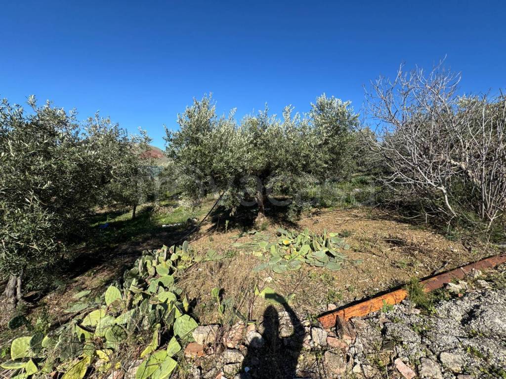 immagine annuncio 5 di 9