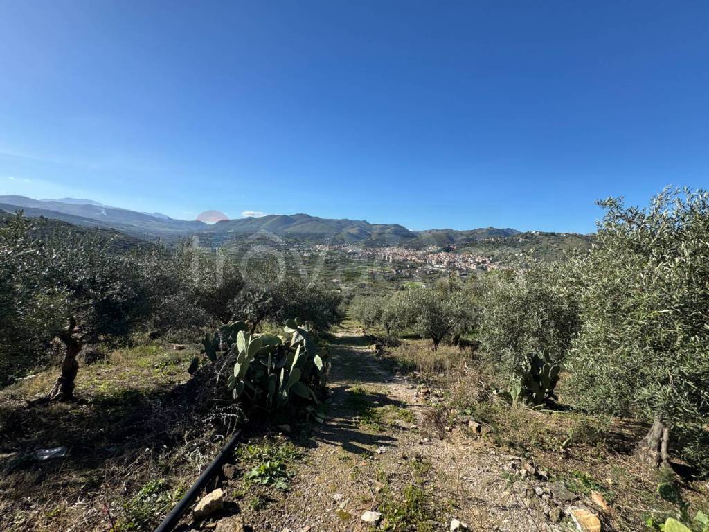 immagine annuncio 6 di 9