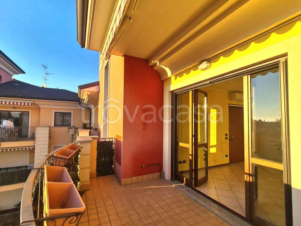 immagine annuncio 12 di 15