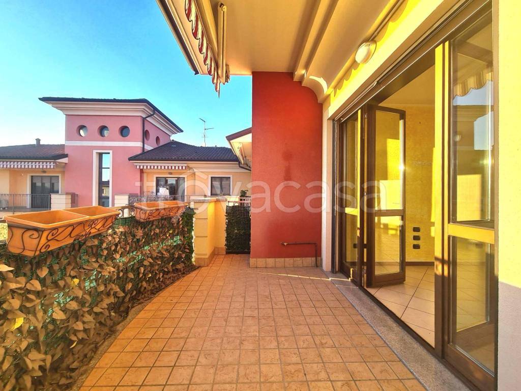 immagine annuncio 9 di 15