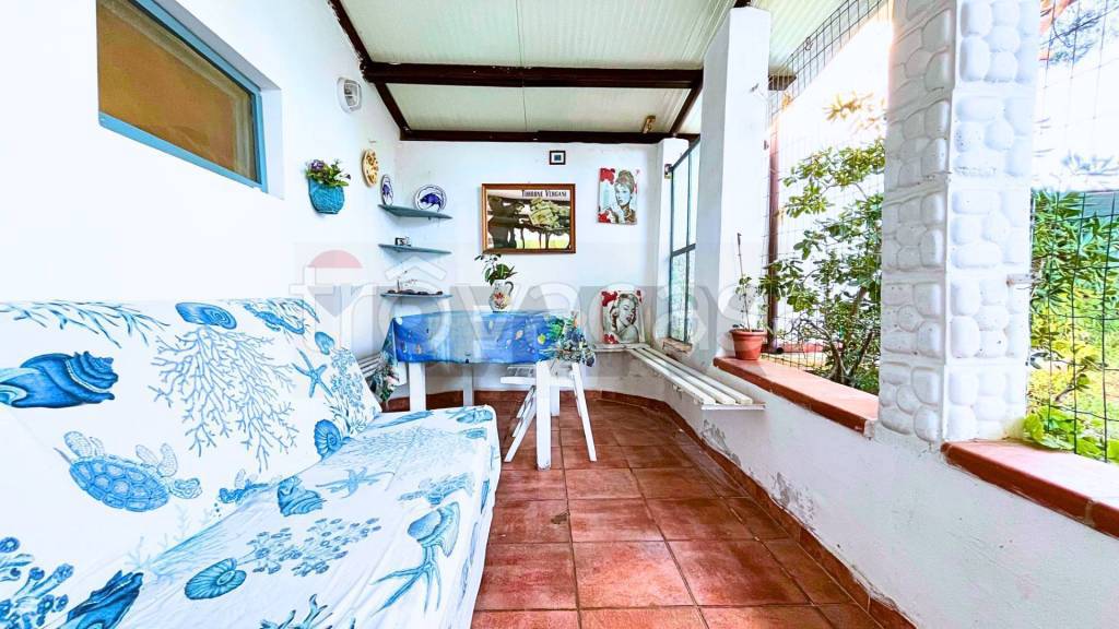 immagine annuncio 3 di 14