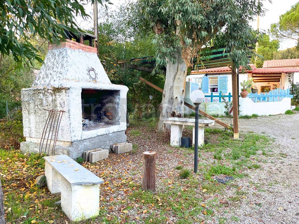 immagine annuncio 12 di 14