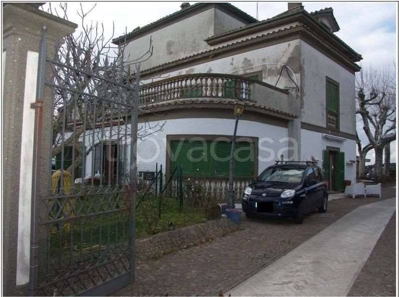 immagine annuncio 3 di 7