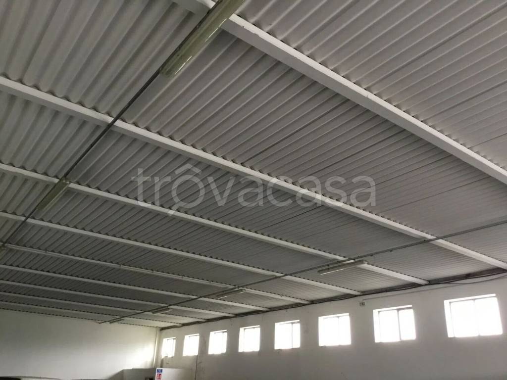 immagine annuncio 5 di 7