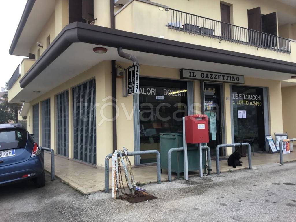 immagine annuncio 2 di 3