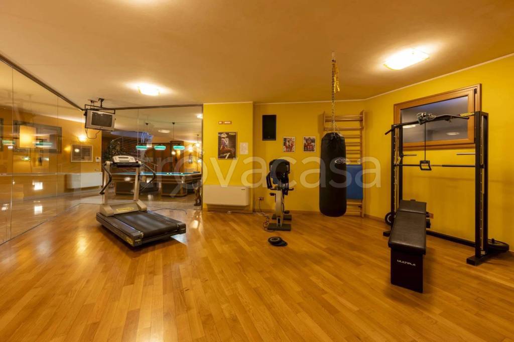 immagine annuncio 11 di 15