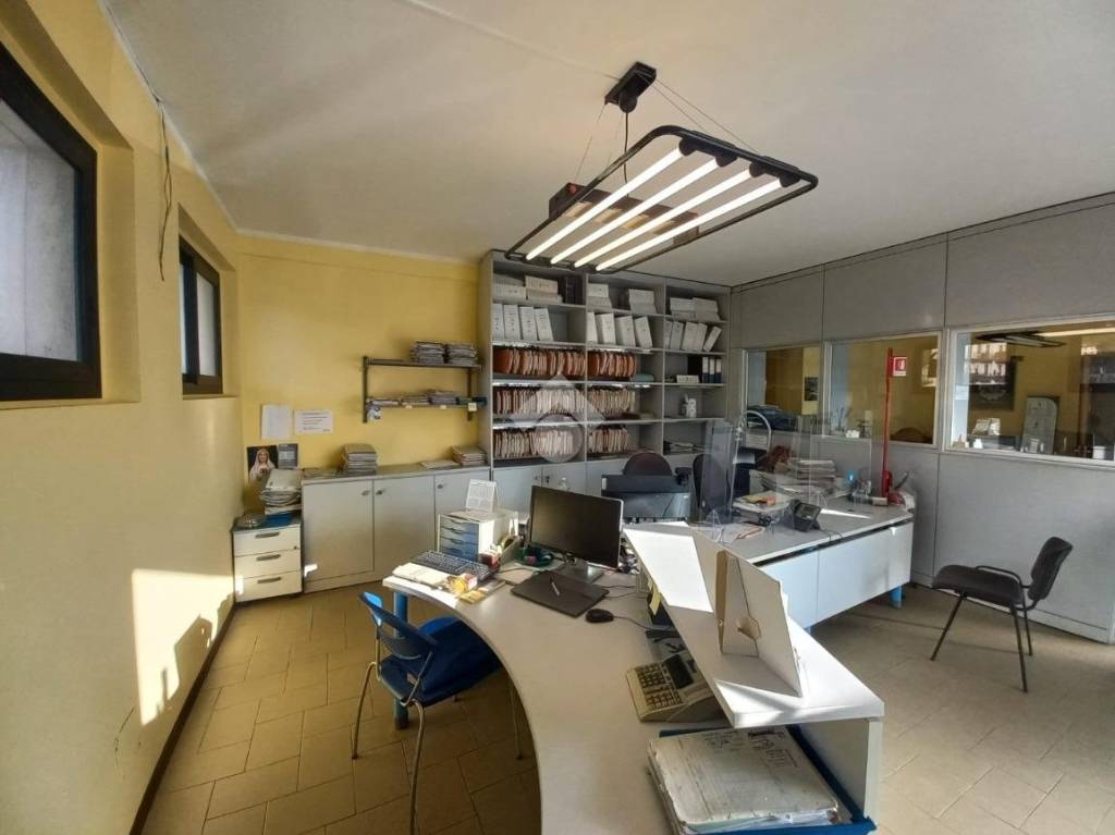 immagine annuncio 6 di 10