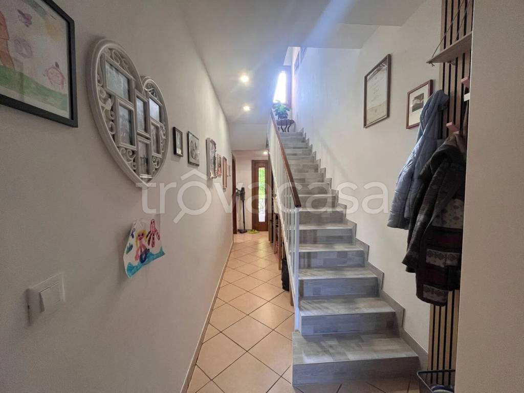 immagine annuncio 5 di 14