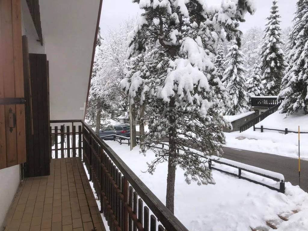 immagine annuncio 4 di 11