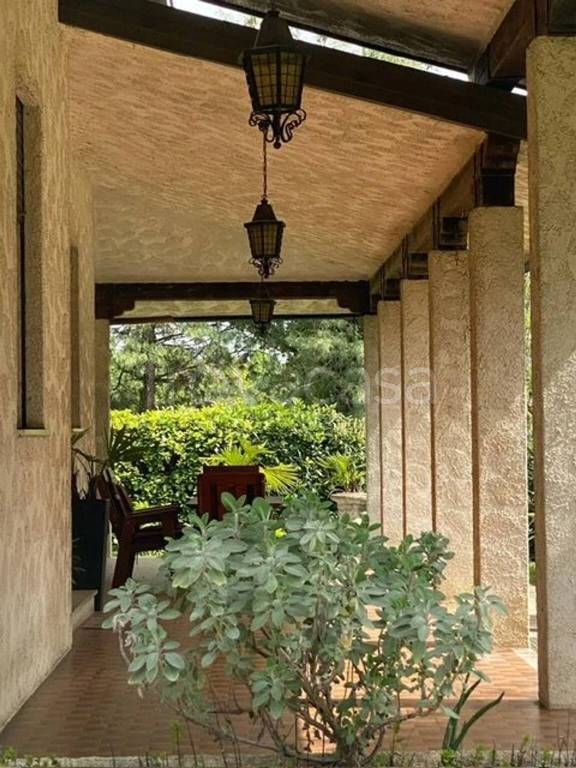 immagine annuncio 2 di 8