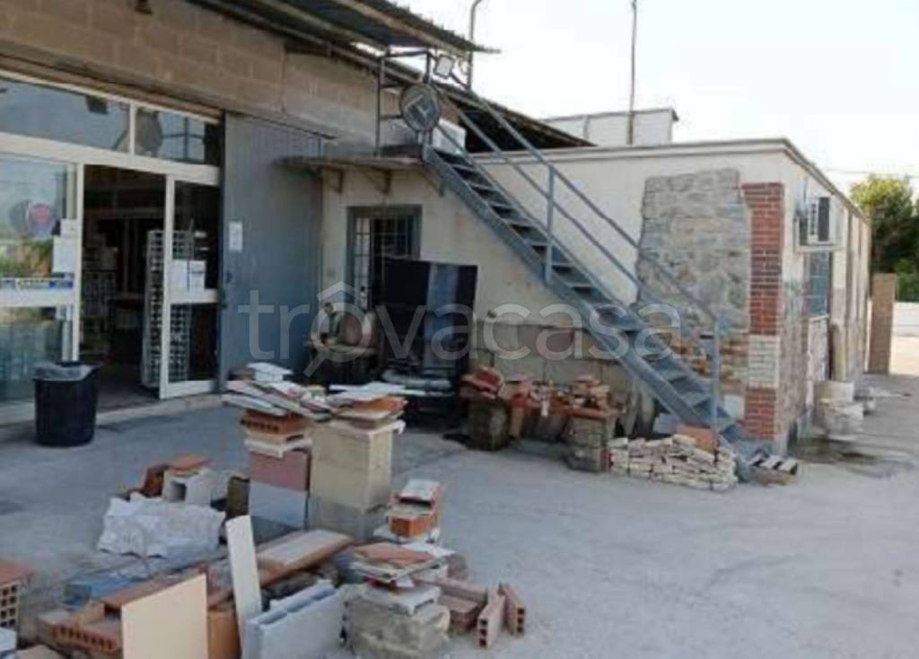 immagine annuncio 3 di 11