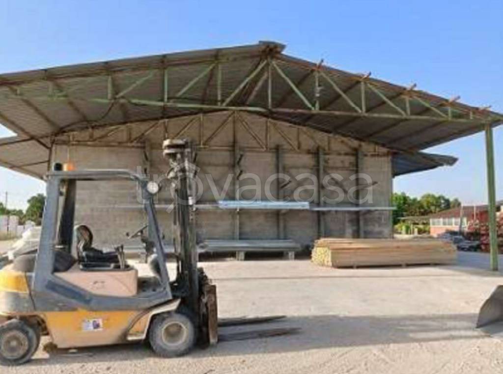 immagine annuncio 4 di 11