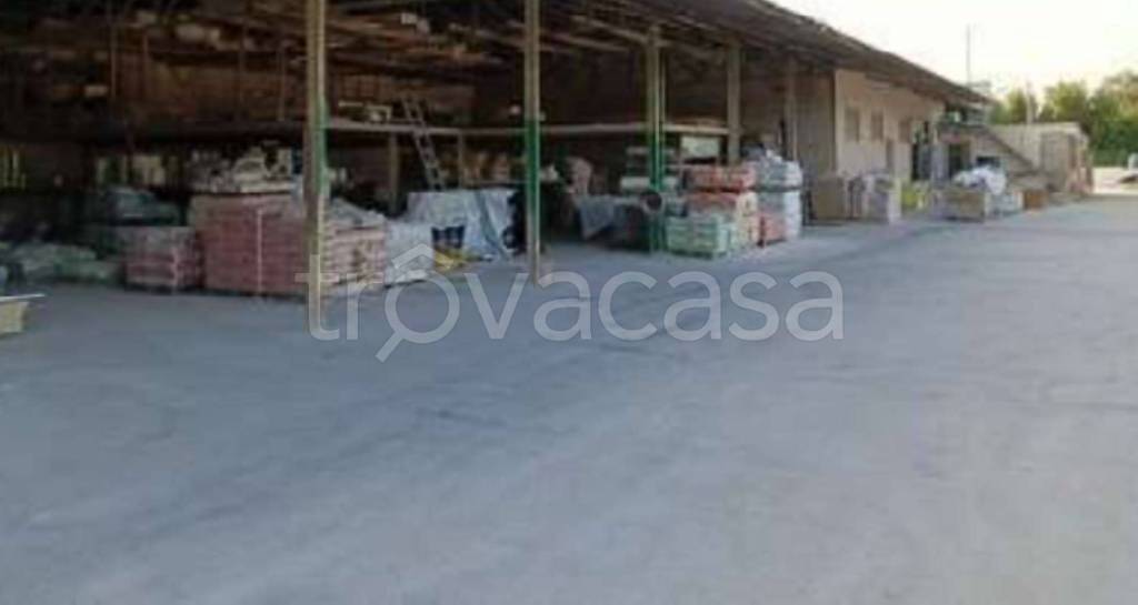 immagine annuncio 5 di 11