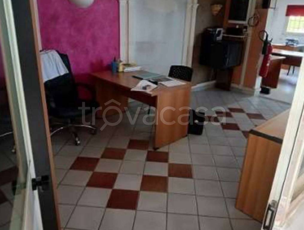 immagine annuncio 7 di 11