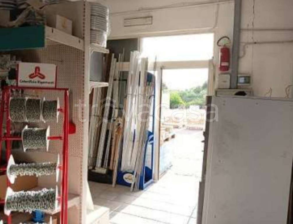 immagine annuncio 8 di 11