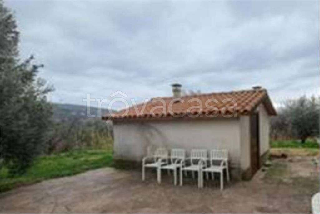 immagine annuncio 4 di 8