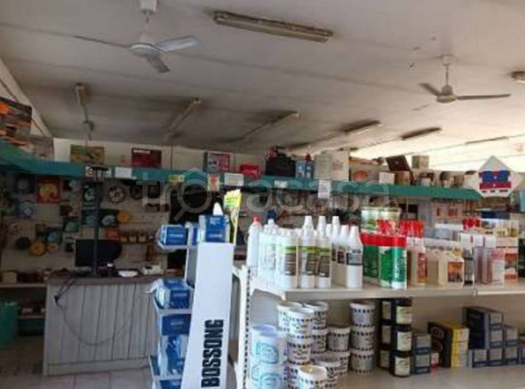 immagine annuncio 10 di 11